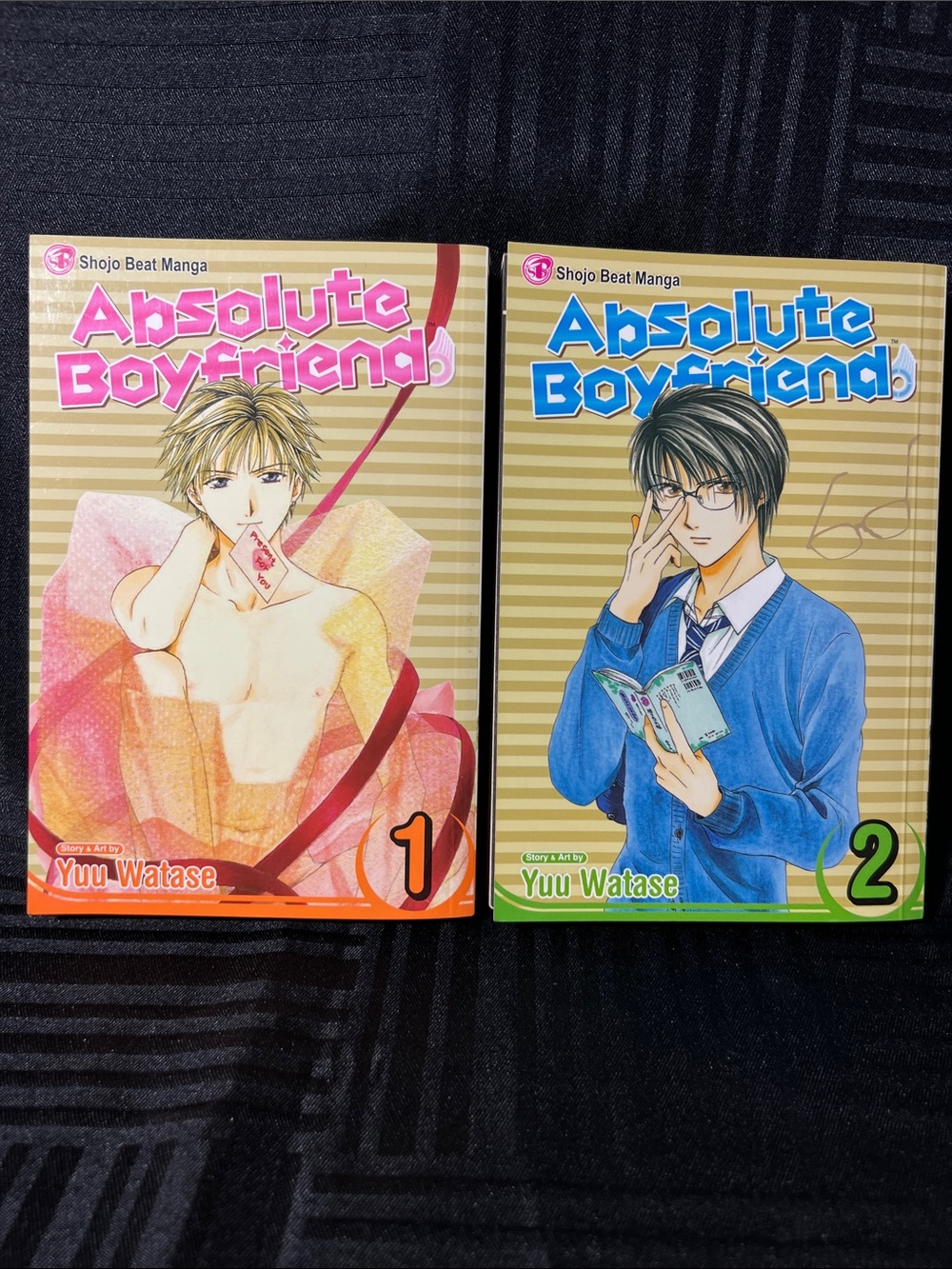 Anime Manga Absolute Boyfriend